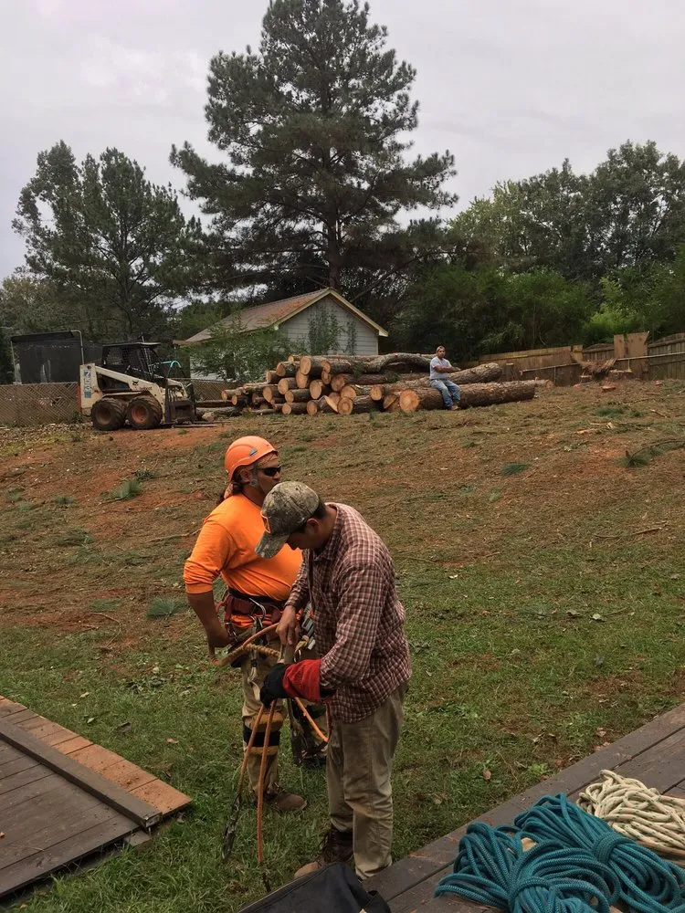 Affordable lawn mowing service for residential properties in Buford, GA by Brother's Tree And Lawn Services