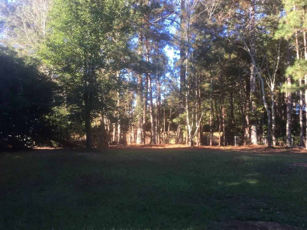 Expert outdoor landscaping in Buford, GA - Brother's Tree And Lawn Services