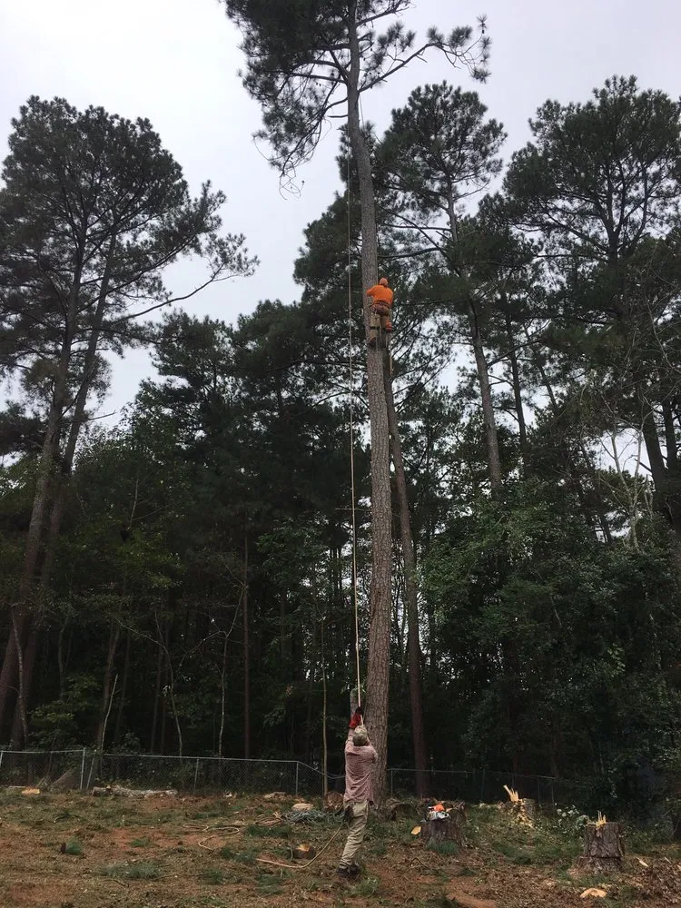 Custom lawn care service with custom design across Buford, GA - Brother's Tree And Lawn Services