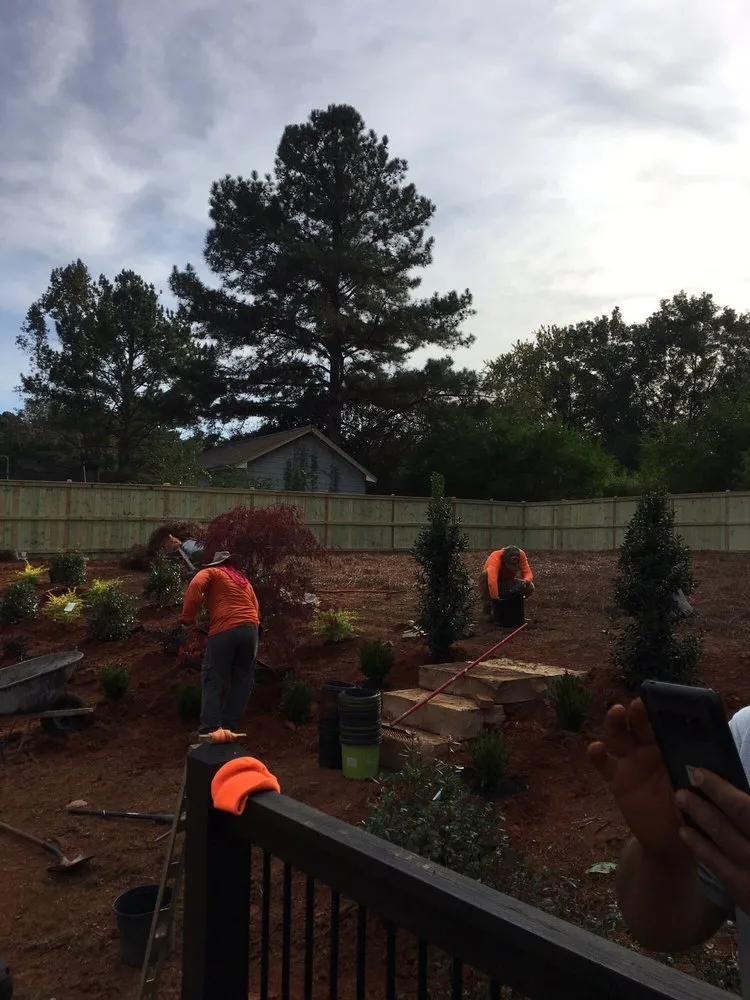 Custom lawn care service in Buford, GA by Brother's Tree And Lawn Services