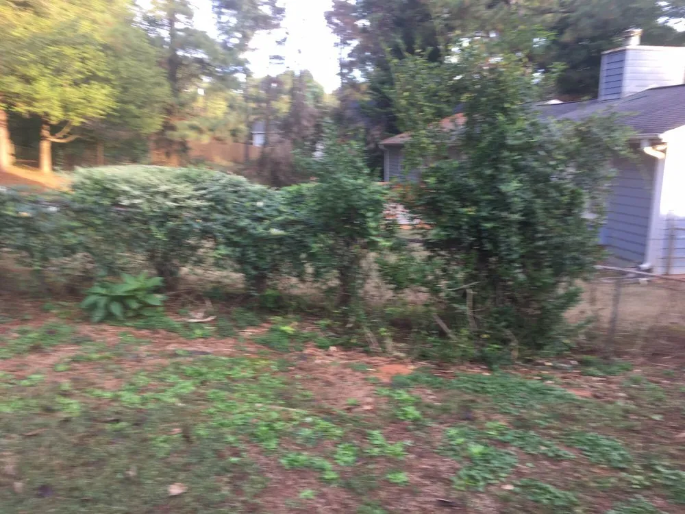 Professional residential landscaping in Buford, GA by Brother's Tree And Lawn Services