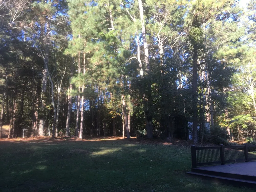 Custom outdoor landscaping for beautiful yards in Buford, GA by Brother's Tree And Lawn Services