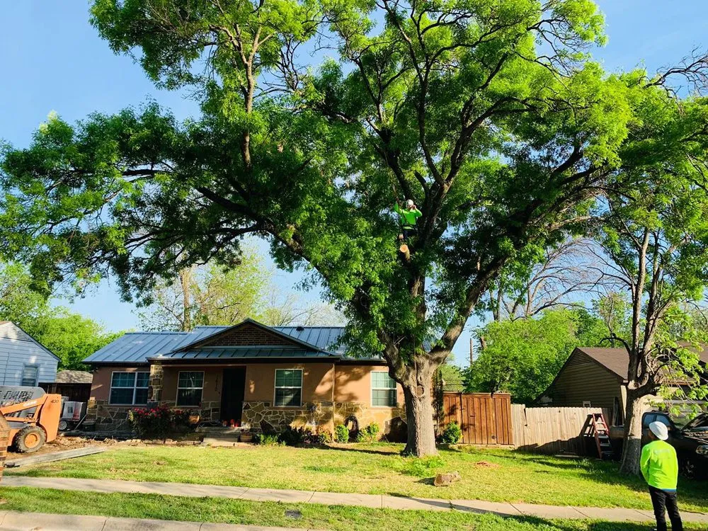 Affordable outdoor landscaping in Arlington, TX - Brothers Tree Service & Landscaping