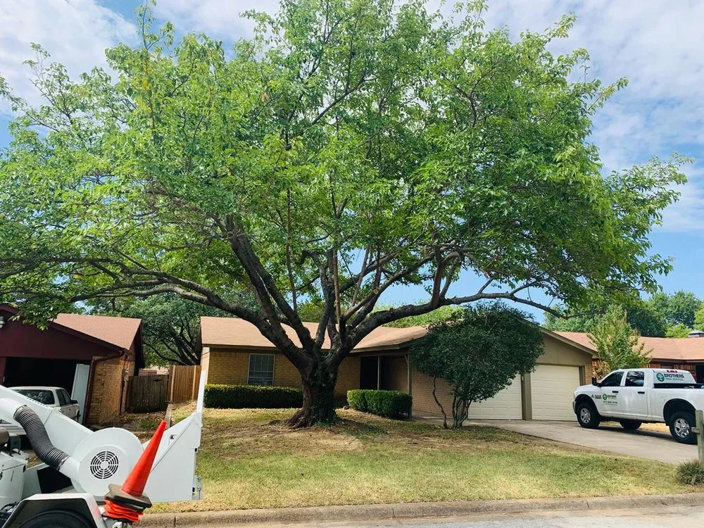 Professional garden landscaping with custom design in Arlington, TX by Brothers Tree Service & Landscaping