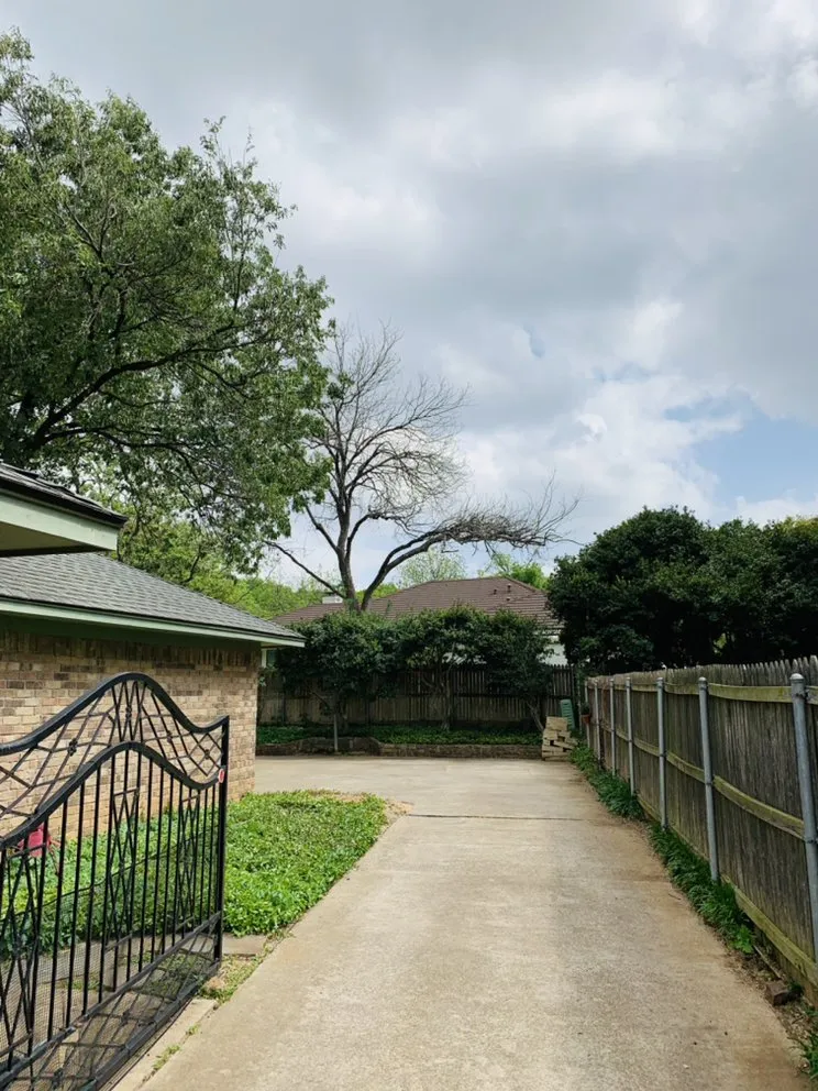 Trusted landscape design in Arlington, TX by Brothers Tree Service & Landscaping