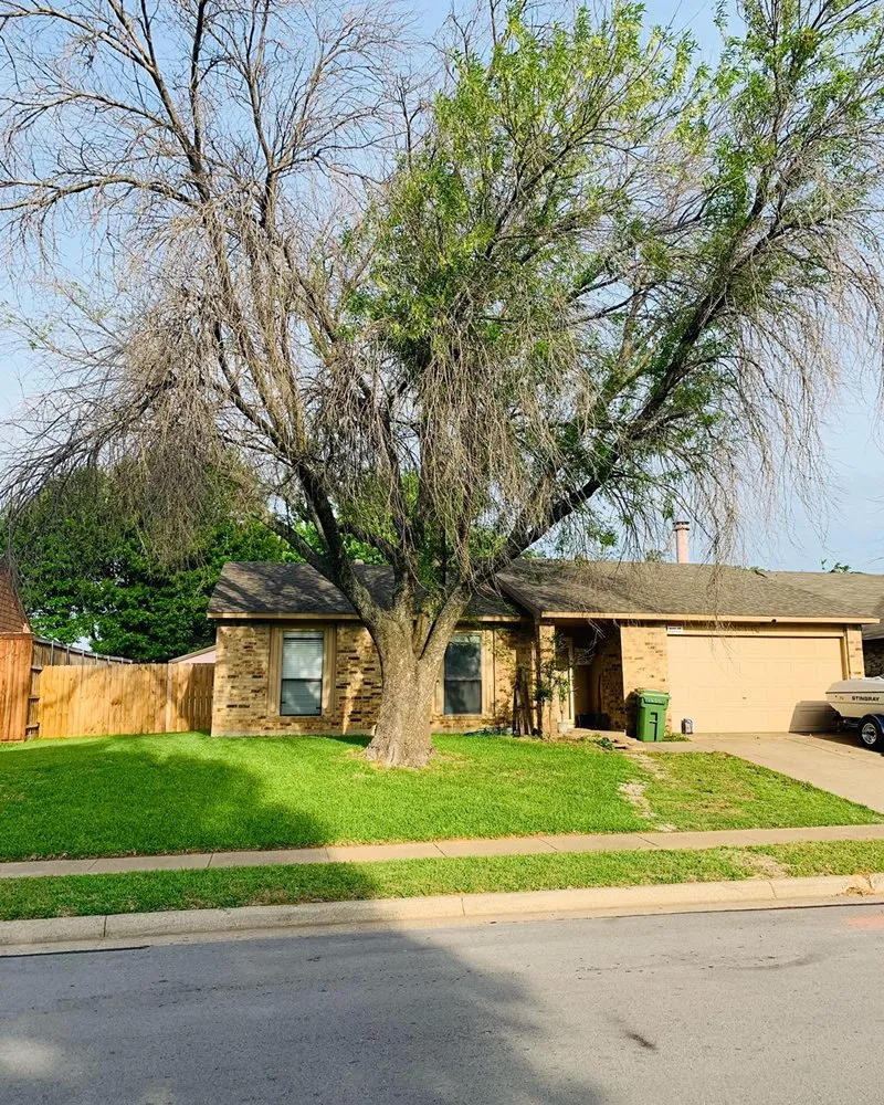 Affordable residential landscaping in Arlington, TX - Brothers Tree Service & Landscaping