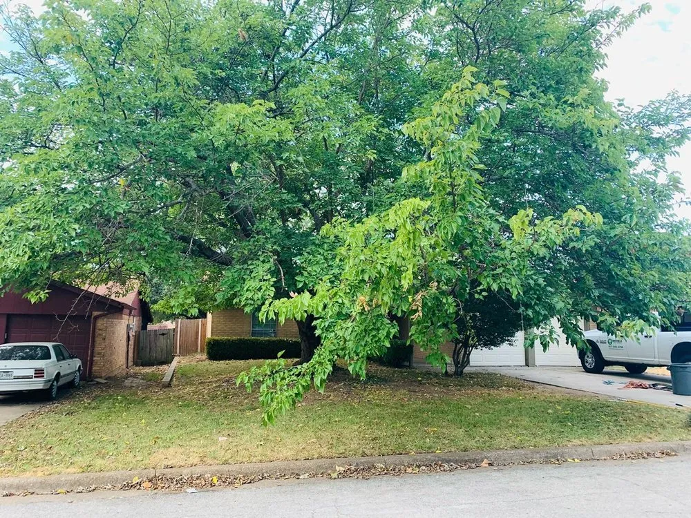 Reliable landscape installation in Arlington, TX by Brothers Tree Service & Landscaping