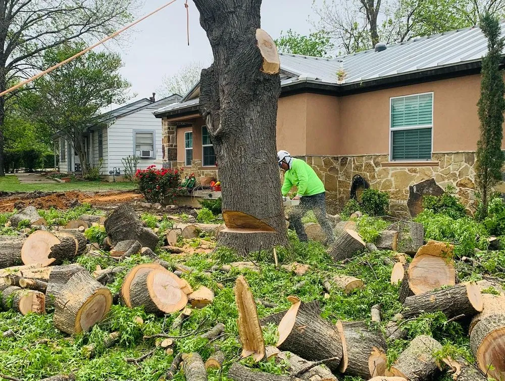 Top-rated landscape design experts serving Arlington, TX - Brothers Tree Service & Landscaping