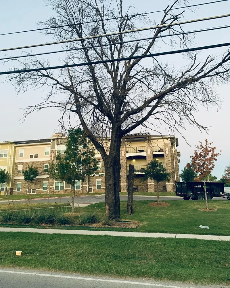 Reliable landscape design in Arlington, TX by Brothers Tree Service & Landscaping