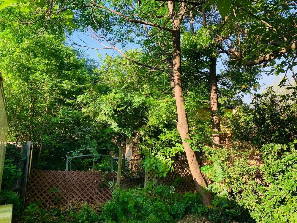 Expert landscape installation for beautiful yards in Arlington, TX by Brothers Tree Service & Landscaping