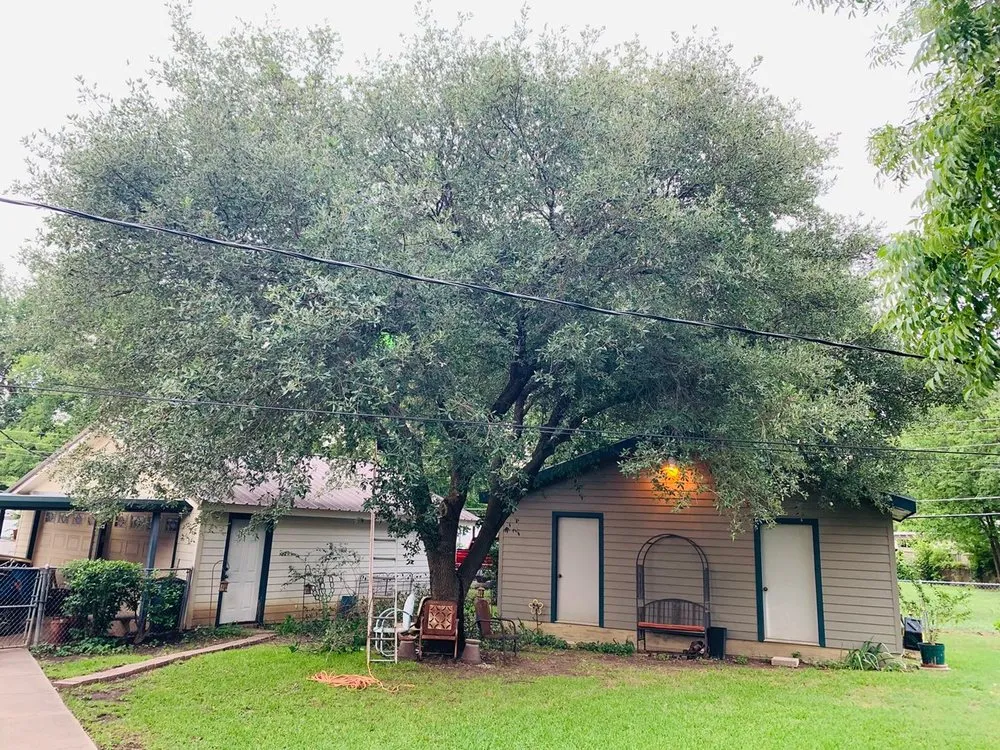 Local landscape design in Arlington, TX - Brothers Tree Service & Landscaping