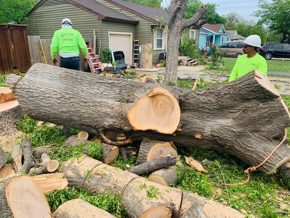 Professional garden landscaping experts serving Arlington, TX - Brothers Tree Service & Landscaping