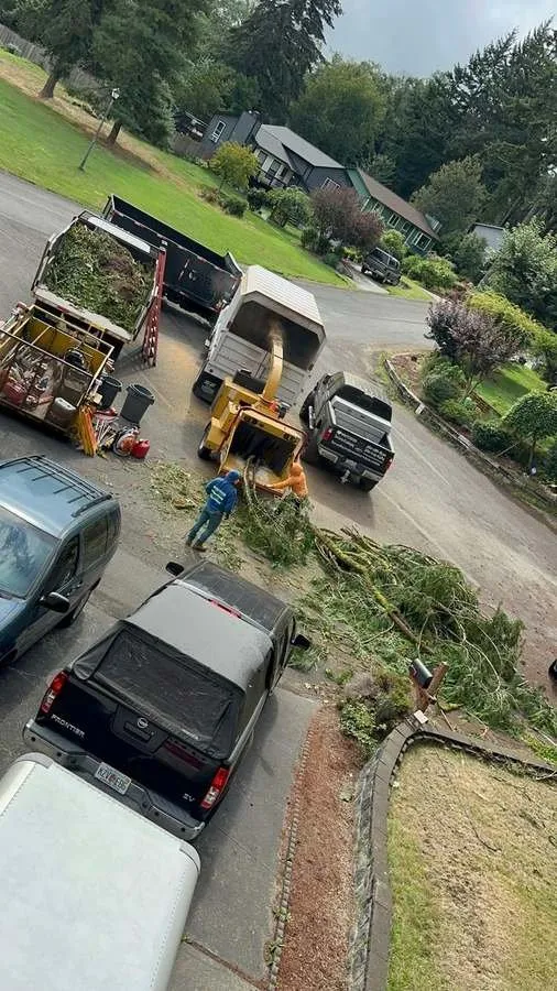 Trusted yard cleanup service in Belfair, WA by Brothers Tree service & Landscaping