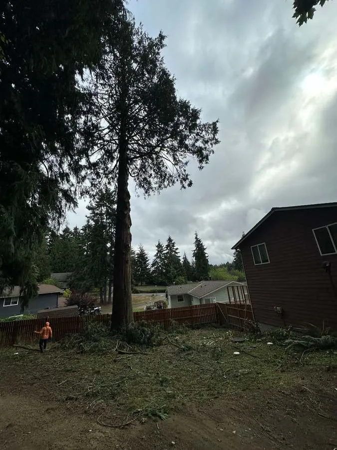 Reliable lawn care service experts serving Belfair, WA - Brothers Tree service & Landscaping