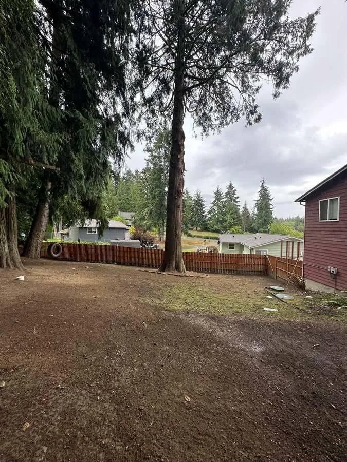 Expert lawn care service for year-round maintenance in Belfair, WA by Brothers Tree service & Landscaping