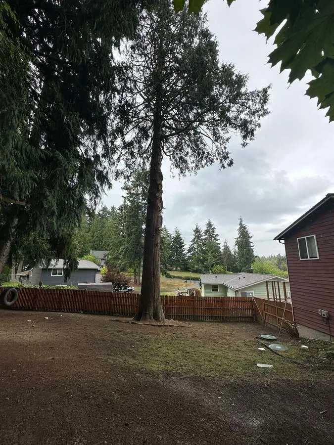 Local lawn mowing service for residential properties across Belfair, WA - Brothers Tree service & Landscaping