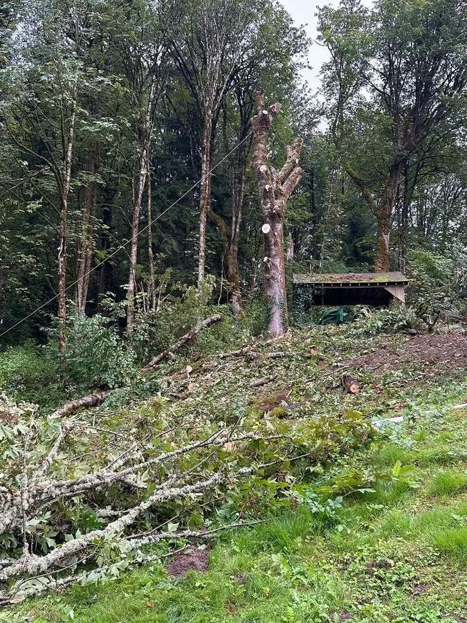 Affordable landscape installation in Belfair, WA - Brothers Tree service & Landscaping