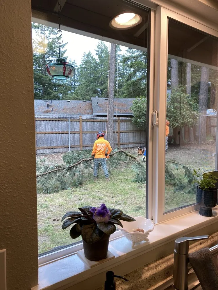 Top-rated landscape installation for outdoor upgrades in Belfair, WA by Brothers Tree service & Landscaping