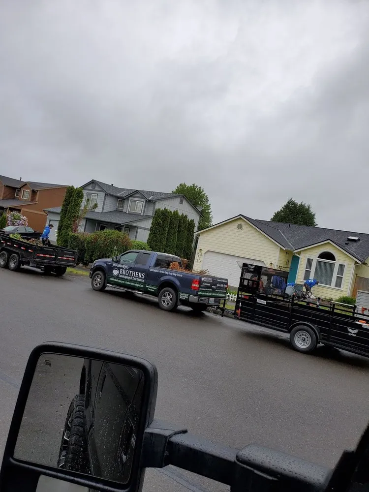 Professional landscaping services in Belfair, WA - Brothers Tree service & Landscaping