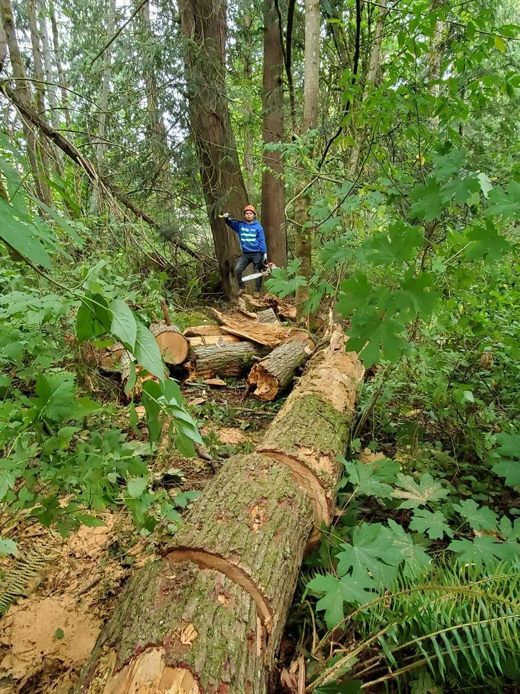 Reliable residential landscaping in Belfair, WA by Brothers Tree service & Landscaping