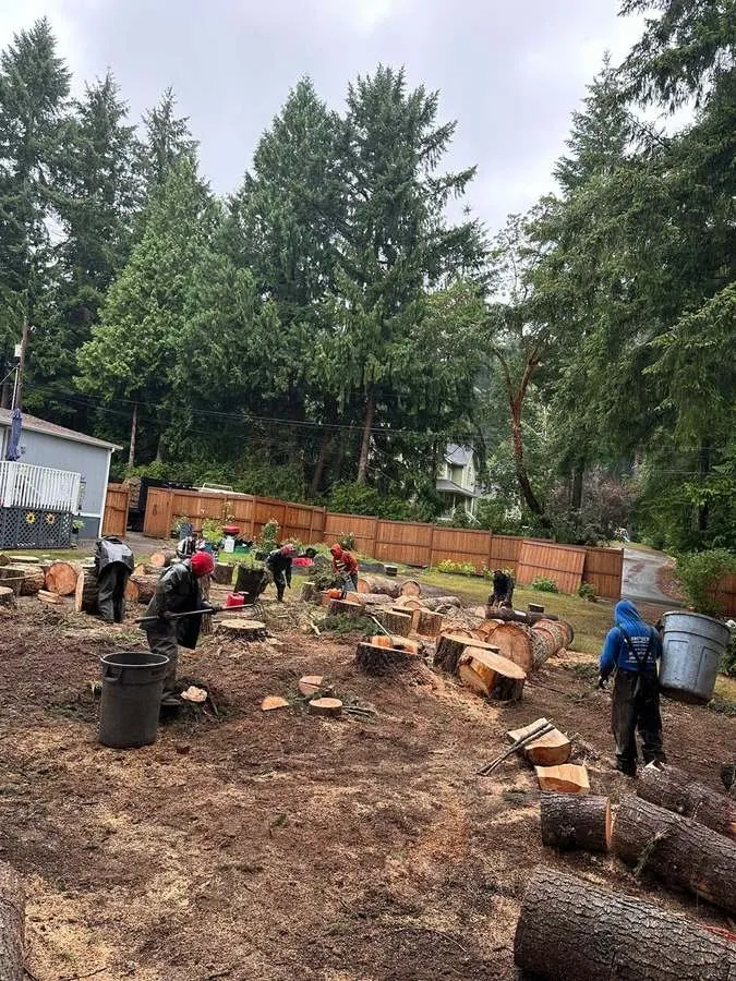 Top-rated lawn care service experts serving Belfair, WA - Brothers Tree service & Landscaping