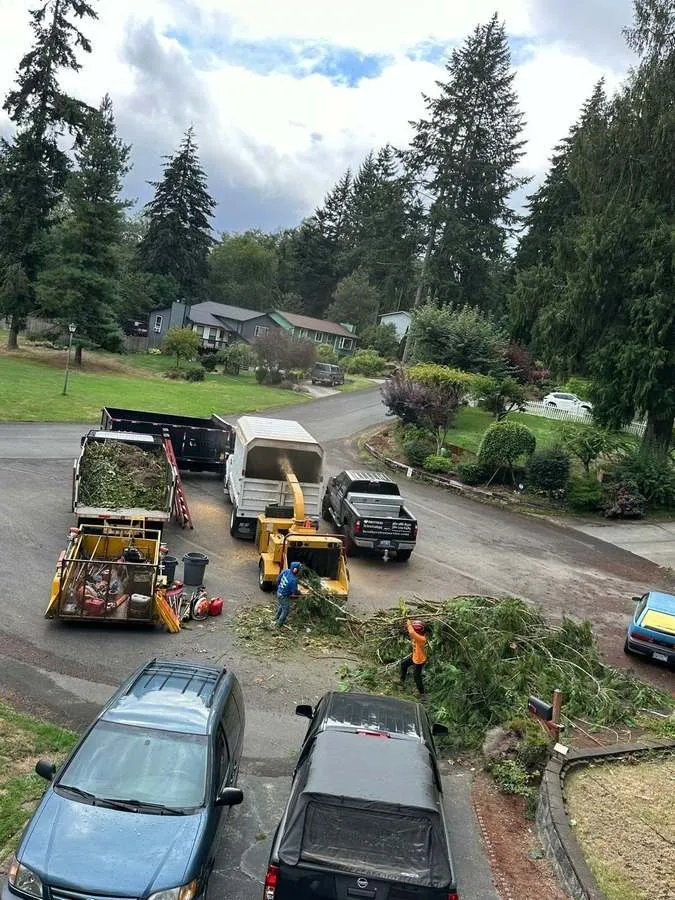 Reliable landscape installation for outdoor upgrades in Belfair, WA by Brothers Tree service & Landscaping