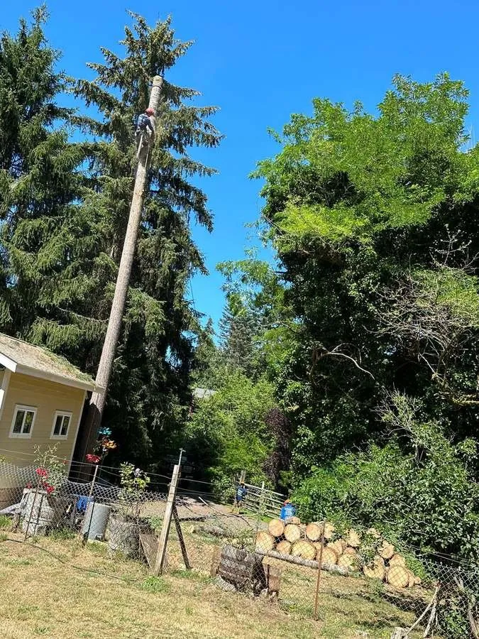 Local lawn care service near you across Belfair, WA - Brothers Tree service & Landscaping