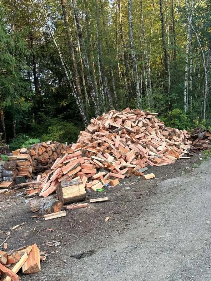 Trusted residential landscaping in Belfair, WA by Brothers Tree service & Landscaping