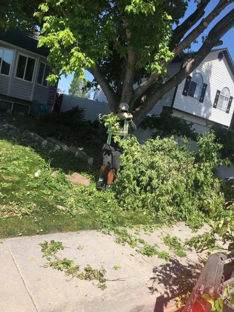 Expert residential landscaping for beautiful yards in West Valley City, UT by Brothers Tree Service & Landscaping
