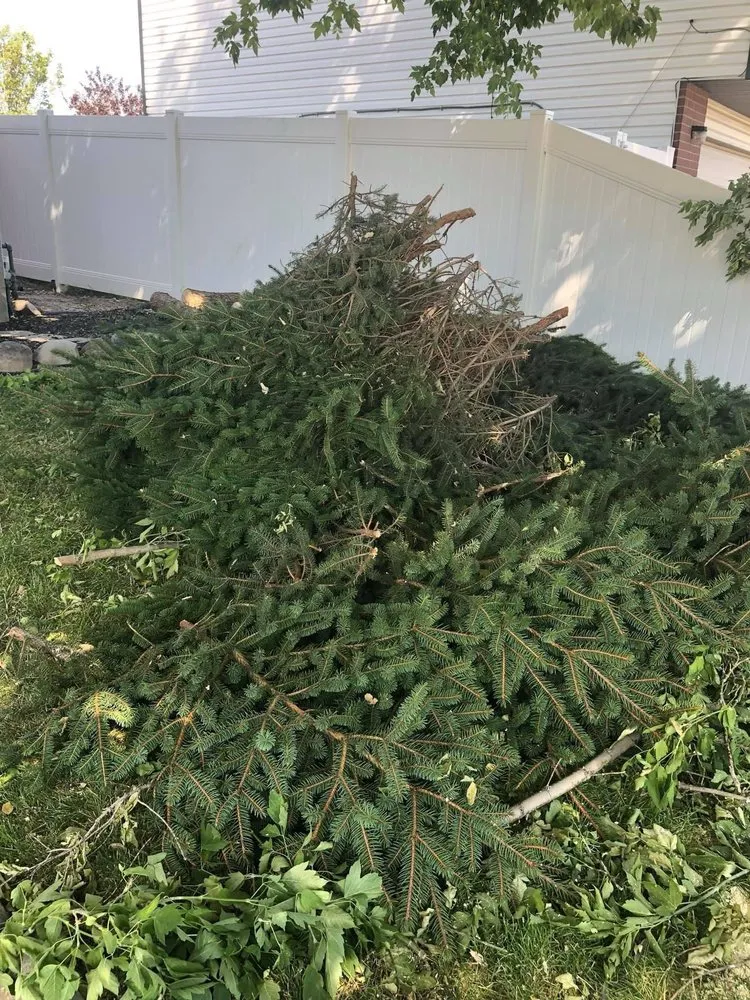 Trusted residential landscaping for beautiful yards across West Valley City, UT - Brothers Tree Service & Landscaping