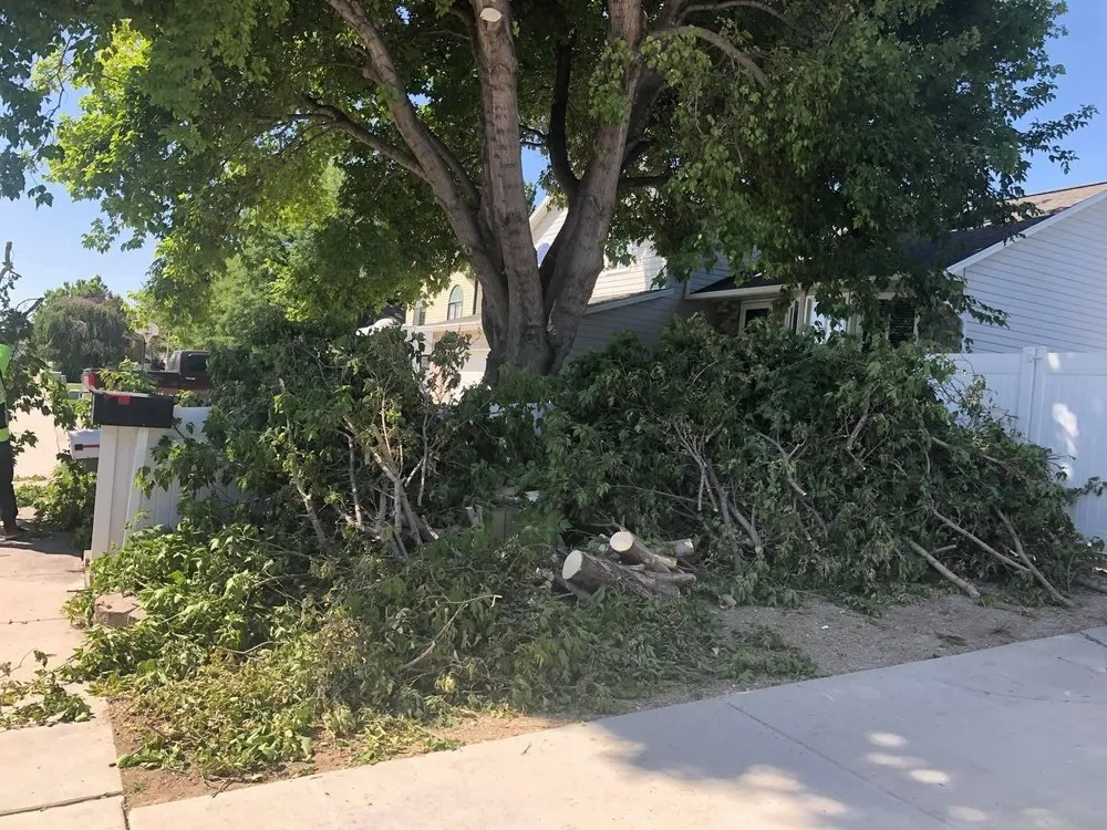 Top-rated lawn mowing service for homes across West Valley City, UT - Brothers Tree Service & Landscaping
