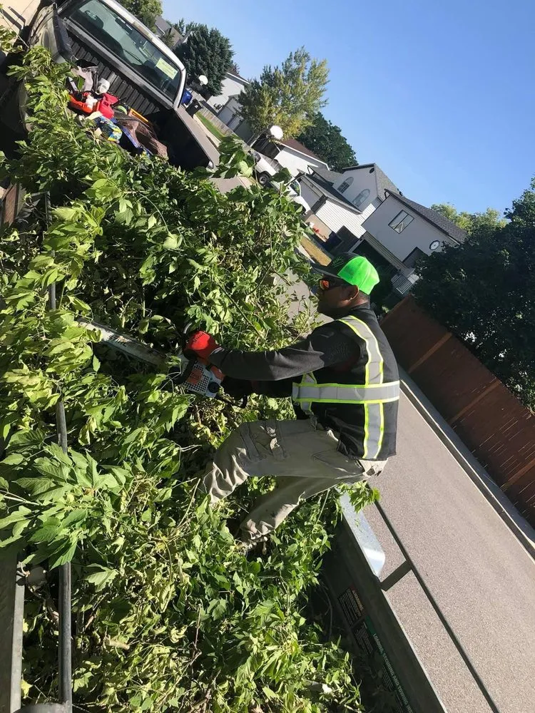 Affordable landscaping services in West Valley City, UT - Brothers Tree Service & Landscaping