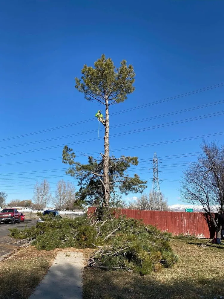 Custom landscape design for residential properties in West Valley City, UT by Brothers Tree Service & Landscaping