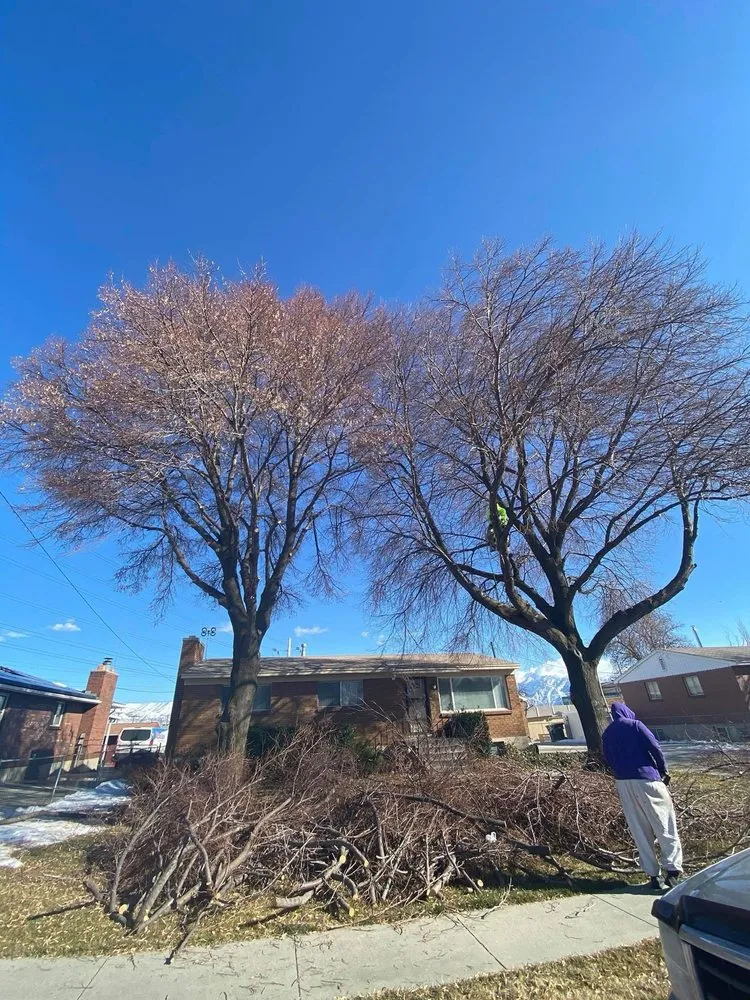 Expert outdoor landscaping in West Valley City, UT by Brothers Tree Service & Landscaping