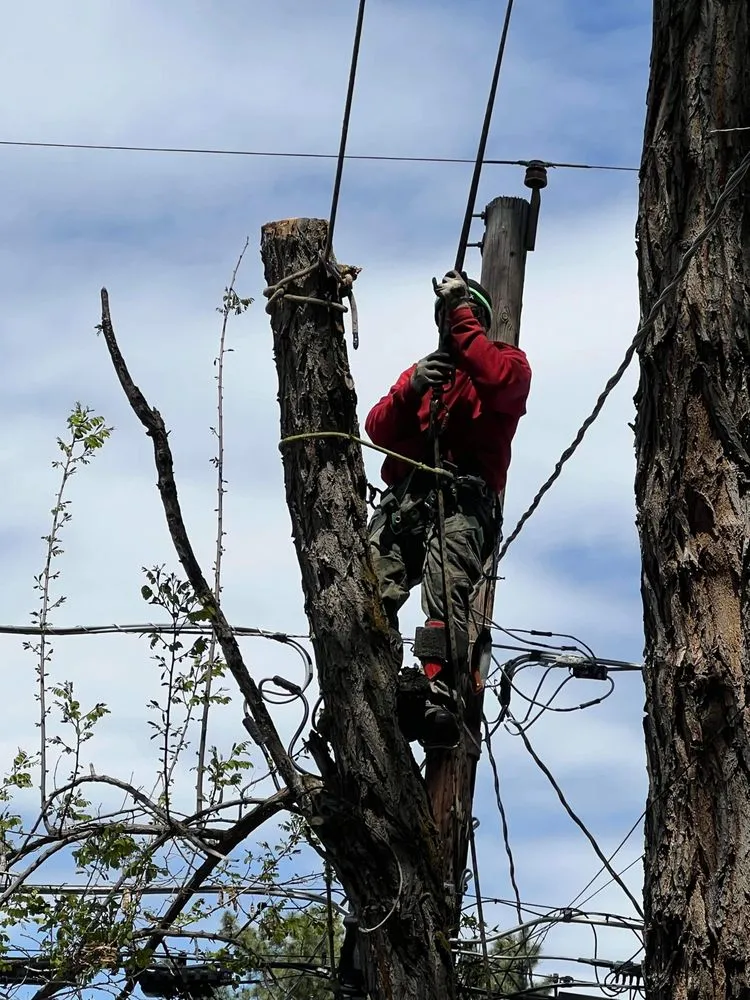 Top-rated landscaping services experts serving West Valley City, UT - Brothers Tree Service & Landscaping