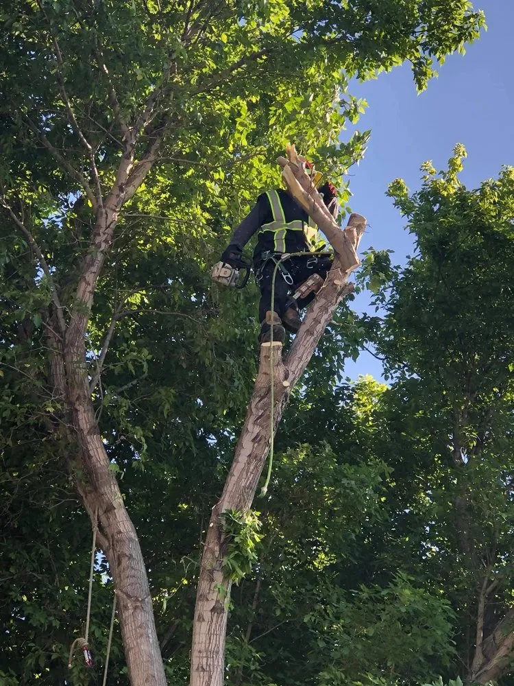 Expert outdoor landscaping with custom design across West Valley City, UT - Brothers Tree Service & Landscaping