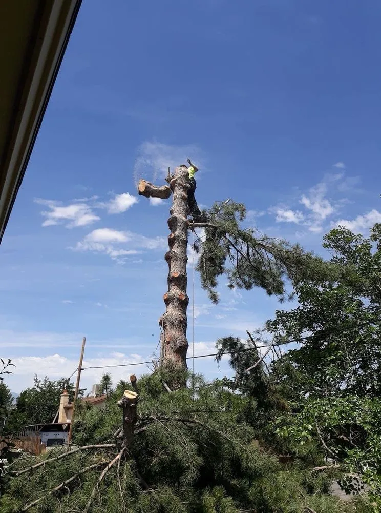 Reliable landscape design in West Valley City, UT - Brothers Tree Service & Landscaping