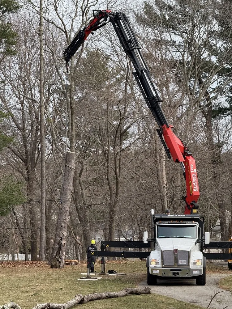 Affordable yard maintenance in Weymouth, MA by Brothers Tree Service and Landscape