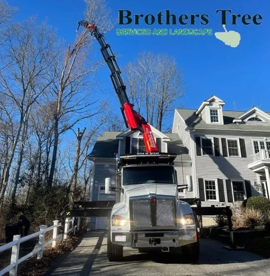 Top-rated yard maintenance in Weymouth, MA by Brothers Tree Service and Landscape