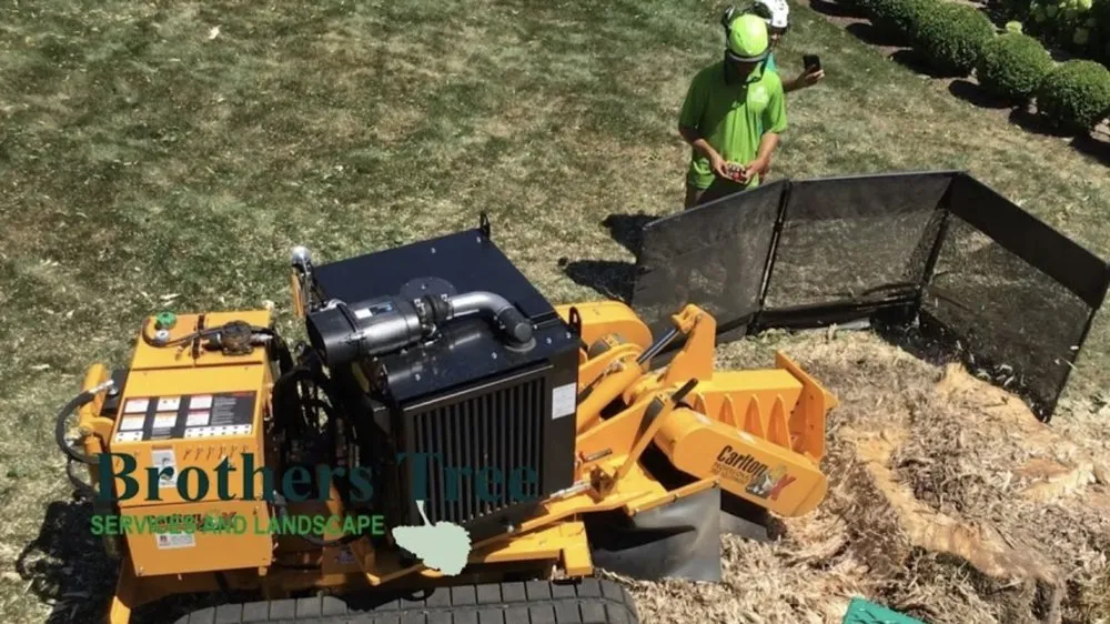 Expert landscaping services experts serving Weymouth, MA - Brothers Tree Service and Landscape