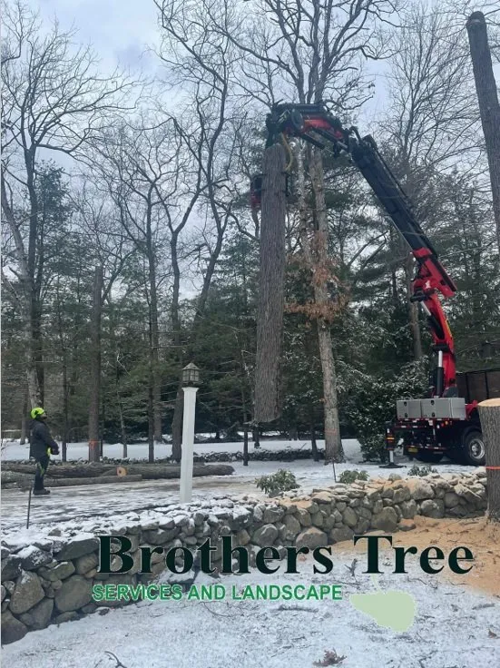 Expert landscape design in Weymouth, MA by Brothers Tree Service and Landscape