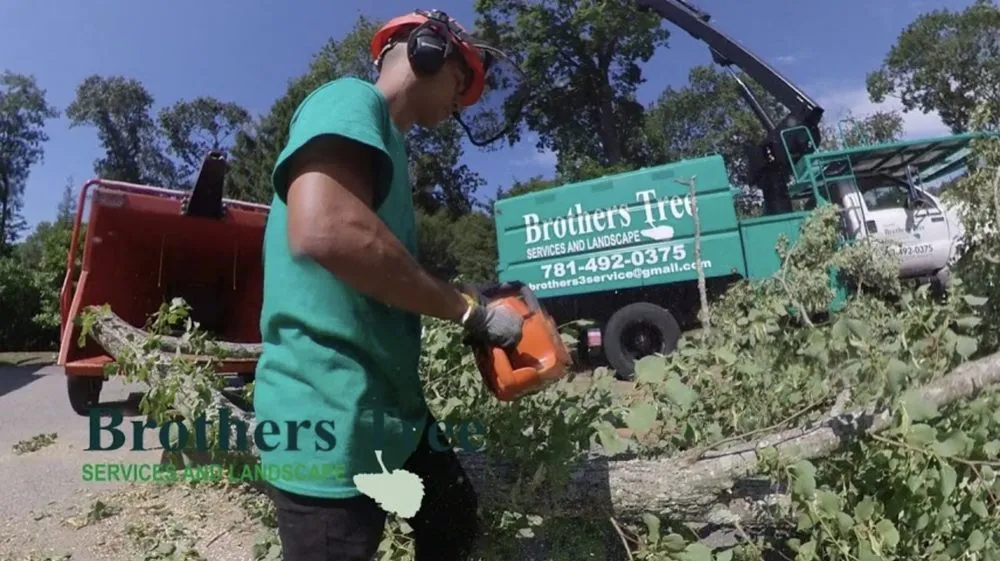 Professional residential landscaping in Weymouth, MA - Brothers Tree Service and Landscape