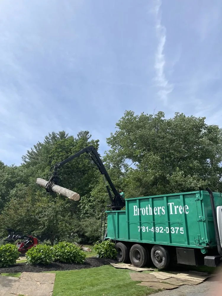 Affordable landscape design in Weymouth, MA - Brothers Tree Service and Landscape