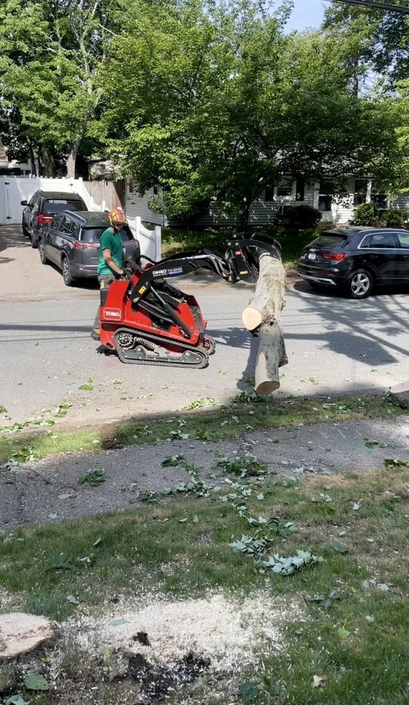 Top-rated lawn care service in Weymouth, MA by Brothers Tree Service and Landscape