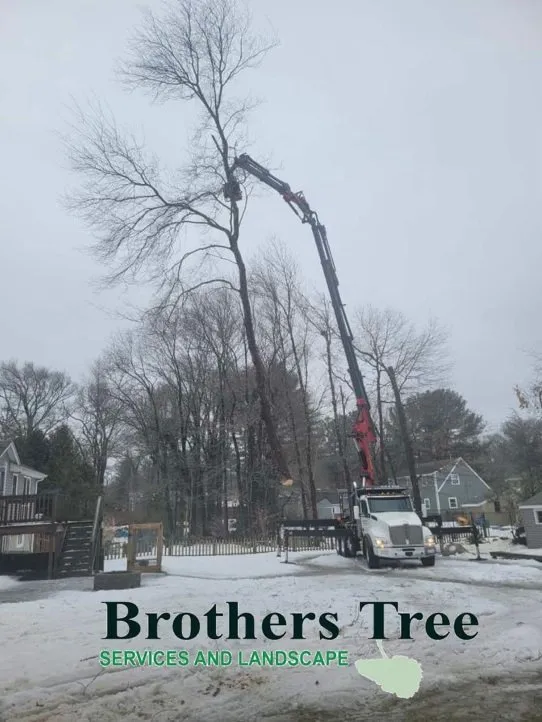 Trusted lawn care service in Weymouth, MA by Brothers Tree Service and Landscape