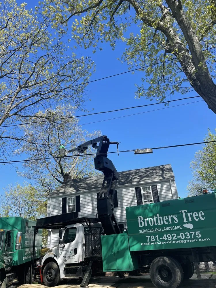 Local yard maintenance experts serving Weymouth, MA - Brothers Tree Service and Landscape