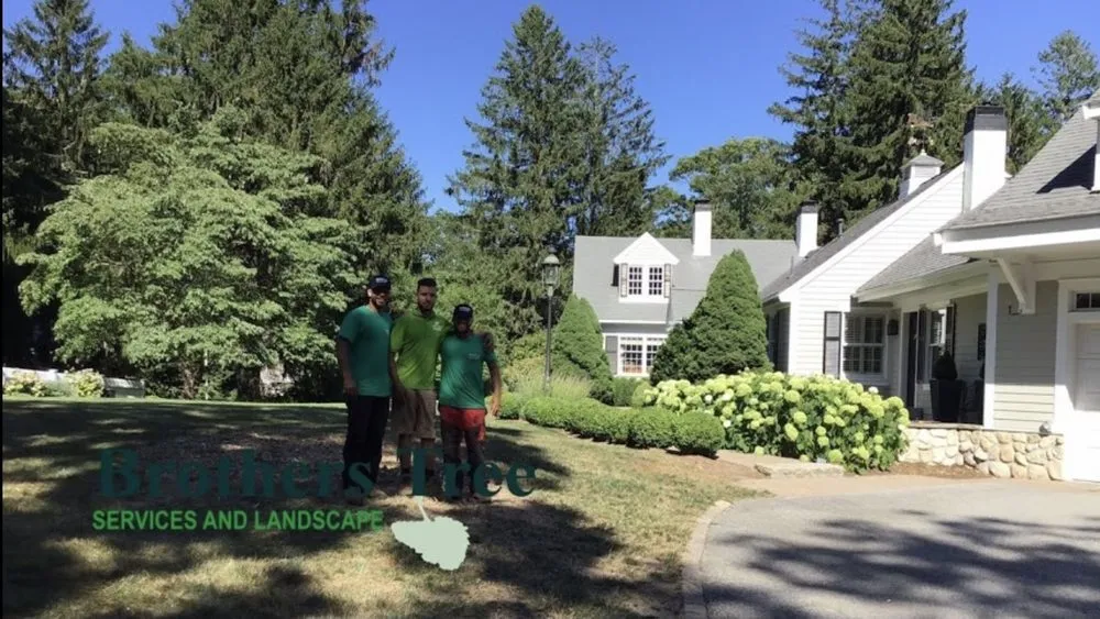 Expert garden landscaping in Weymouth, MA - Brothers Tree Service and Landscape
