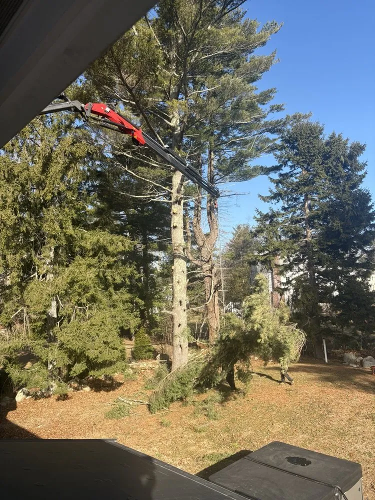 Affordable lawn care service for outdoor upgrades across Weymouth, MA - Brothers Tree Service and Landscape