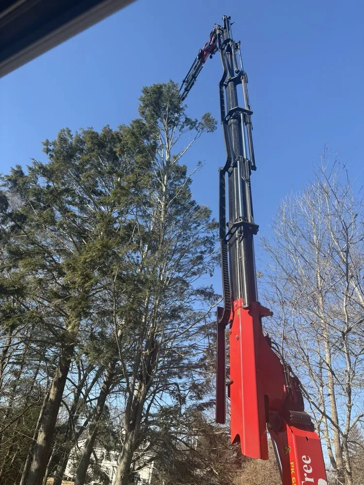 Custom outdoor landscaping near you in Weymouth, MA by Brothers Tree Service and Landscape