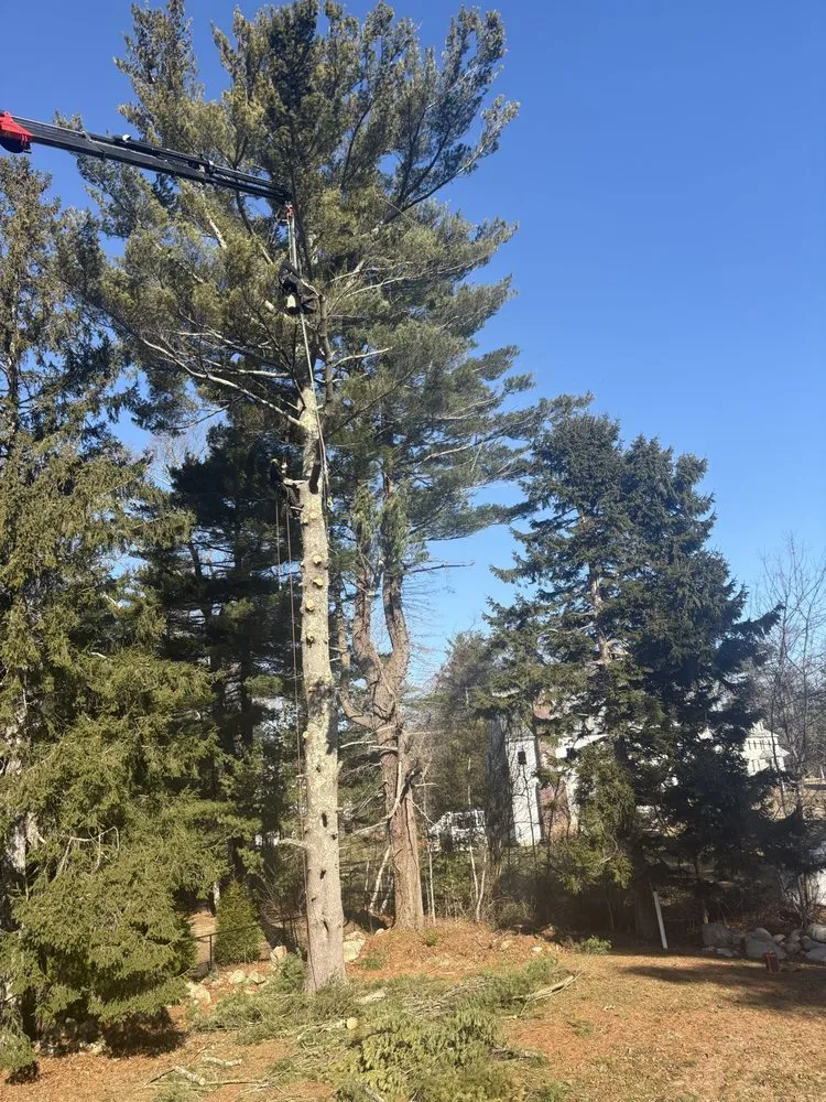 Top-rated lawn mowing service in Weymouth, MA - Brothers Tree Service and Landscape